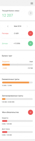 Интерфейс для приложения учёта семейного бюджета