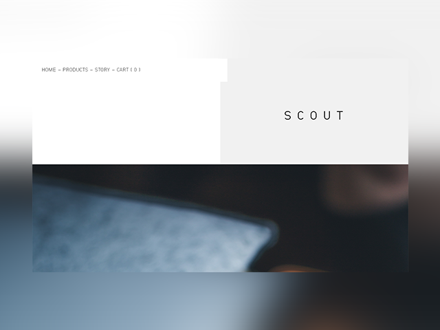 Scout