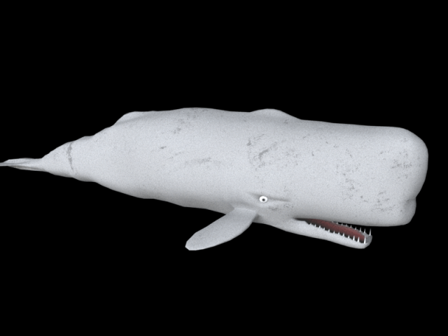 Moby Dick