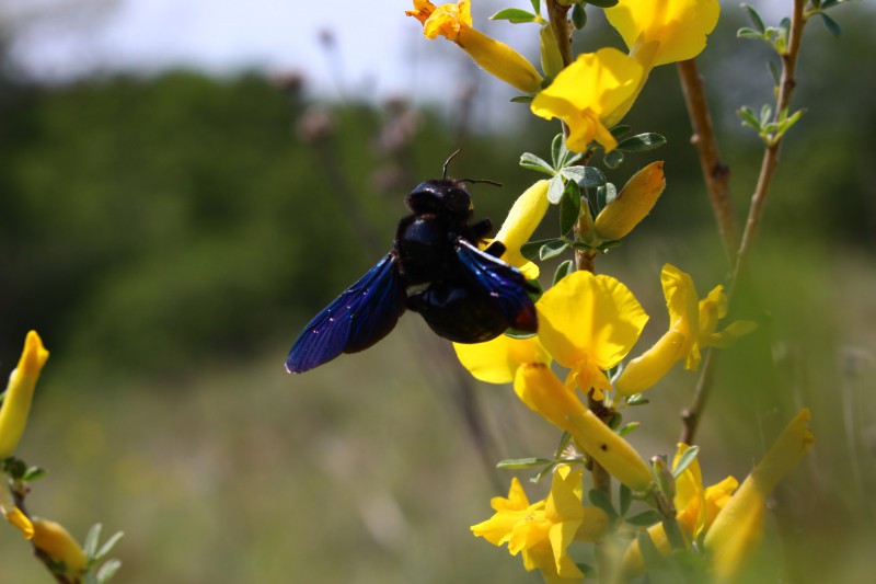 pic3758253.jpg
