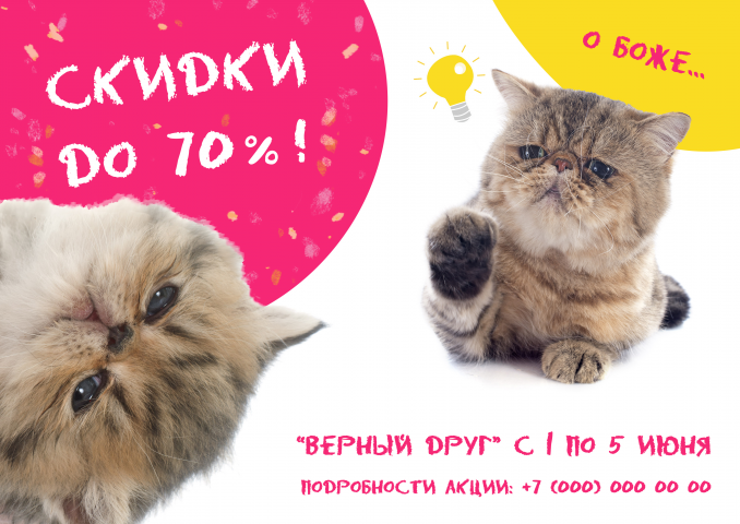 Флаер для зоомагазина