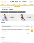 Раздел "Гинекология: Лапаротомия" для медцентра "Союз"