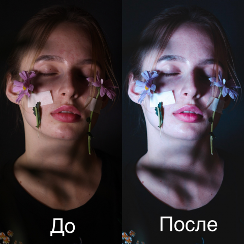 Работа 3701389