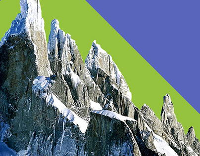 Forison — branding