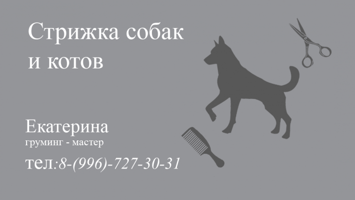 Визитка