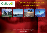 Работа 955579