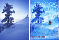 Работа 974960