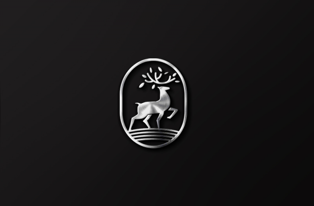 TransDeer