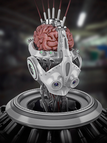 Brain 3d