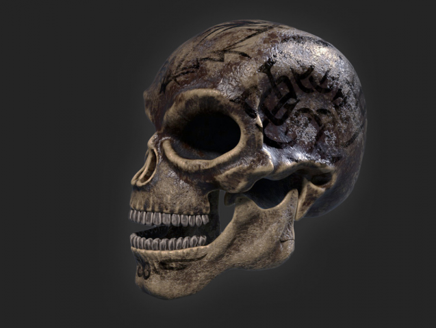 Skull
