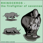 Rhino
