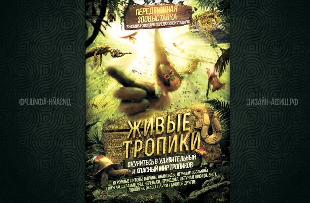 Дизайн афиши