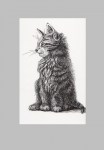 кошка