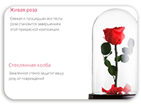 LP  Вечные розы