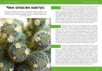 Разворот журнала