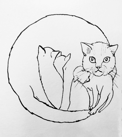 Сунь-Вынь. Кошки2