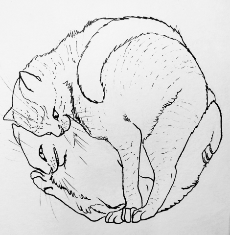 Сунь-Вынь. Кошки1