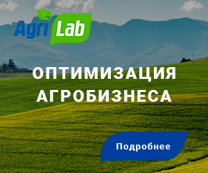 Работа 3545898