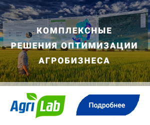 Работа 3545895