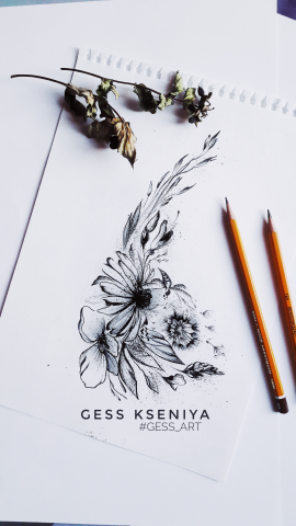 Sketch graphic