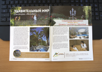 Разворот в журнале