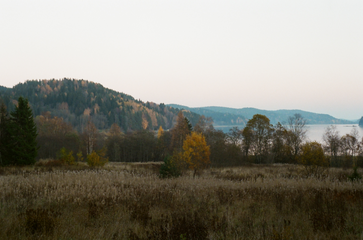 Пейзаж. Плёнка