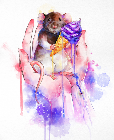 Rat with ice cream