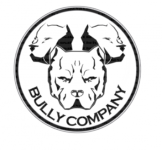 Логотип для питомника "Bully Company"