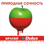 Работа 2437307