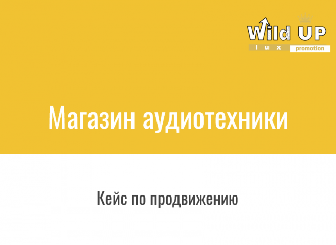 Комплексное продвижениt магазина аудиотехники