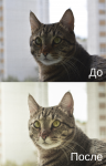 Работа 3052507