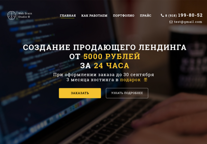 Web Brain Studio