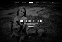 Сайт профессиональной косметики для собак