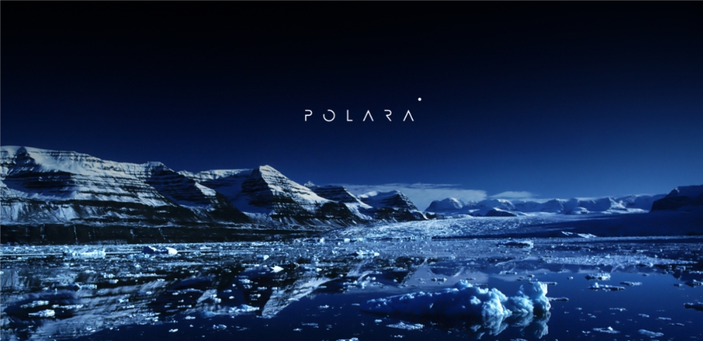 вид полара.jpg