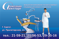 Оформление  автомобиля Газель