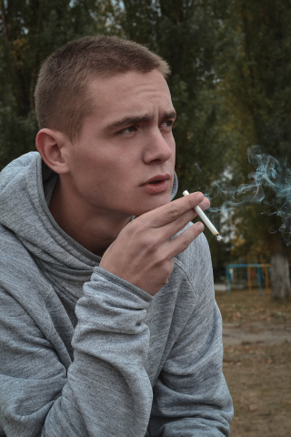 Работа 3364486