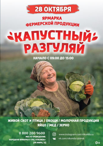 Работа 3494125