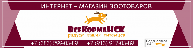 Баннер для группы вк