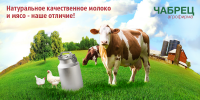 Баннер для агрофирмы Чебрец