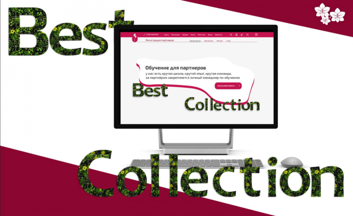 Дизайн сайта для b2b компании Best Collection