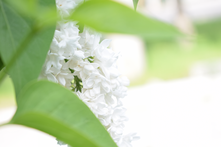 Работа 3684628