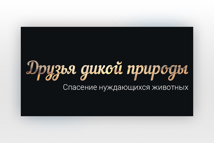 ДРУЗЬЯ ДИКОЙ ПРИРОДЫ