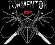Кавер на Slayer "Tormenor"