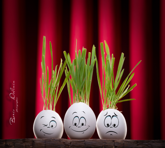 Работа 3705456