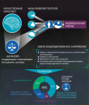 Работа 2040434