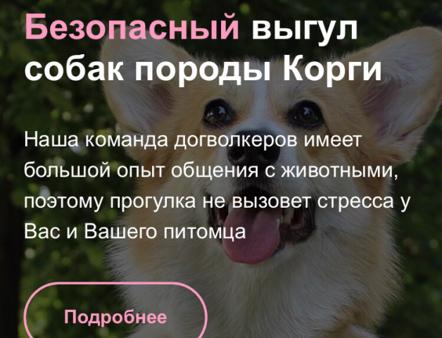 Лендинг услуги по выгулу собак