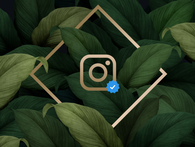 Полное Ведение INSTAGRAM