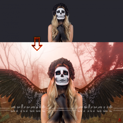 Коллаж "Dark Angel"