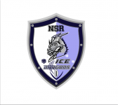 ICE DRAGONS