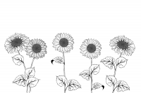 Работа 2992706